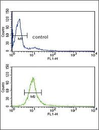 22.5 ммоль/л (mmol/l) = 405.41 мг/дл (mg/dl). Pax3 Antibody Mybiosource