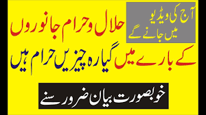 Halal Wa Haram Janwaron Ky Bari Mian 11 Chezeen Harram Han Khubsorat Bay Bari Thankful Don T Forget