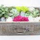 Family Plant Party: Make a Succulent Terrarium