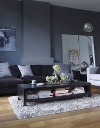 Thinking About Going Monochromatic With The Furniture Different Shades Of Grey Dark Living Rooms Living Room Grey Small Living Room Design
