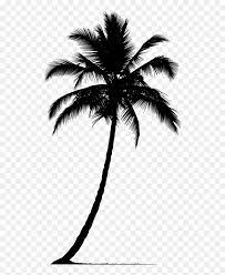 Arecaceae tree euclidean leaf, palm tree background, palm tree, beach, tree branch png. Arecaceae Silhouette Tree Palm Tree Vector Silhouette Png Transparent Png Vhv