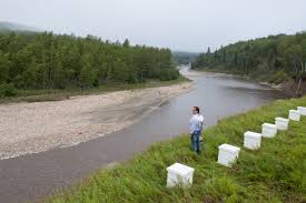 Peace River Honey Peace River Honey