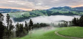 Mai multe hoteluri ce au restaurant propriu din bregenzerwald. The Cheese Road In Vorarlberg Austria Plan Your Trip