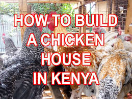 Poultry housepoultry house designpoultry house design in kenyapoultry house design for layerspoultry houses in kenyapoultry house plans for 1000 chickenpoult. Homerange Poultry Farm Kari Improved Kienyeji Chicken Very Cheap Poultry House Design How To Build A Proper Poultry House For Your Kienyeji Chicken Https Www Youtube Com Watch V J Thahjlck8 T 145s Sdu Usd Usu Ys Facebook
