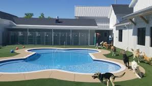 124 pet paradise resort reviews. Pet Paradise Winter Garden Home Facebook