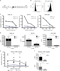 Check spelling or type a new query. Optimized T Cell Receptor Mimic Chimeric Antigen Receptor T Cells Directed Toward The Intracellular Wilms Tumor 1 Antigen Leukemia