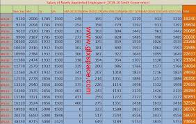 Chart Of Salary Of Newly Appointed Employee In 2019 20