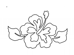 Awesome Hawaiian Flower Coloring Pages Collection Flower Coloring Pages Flower Coloring Sheets Flower Printable