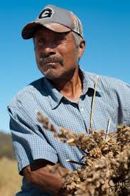 Agroproductos Ecologicos
