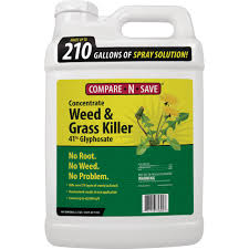 Because they are native to desert. Reviews For Compare N Save 2 5 Gal Grass And Weed Killer Glyphosate Concentrate 75325 The Home Depot
