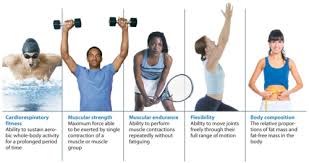 Muscular strength is the ability of the muscles to exert force over a single or maximal effort. Physical Education Quiz 1 Fitness Plan Flashcards Quizlet