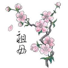 17fb3c9c608273202249798b2b0ccee5 Jpg 500 500 Pixels Tatouage De Fleurs De Cerisier Tatouage Fleur Dessin Fleur