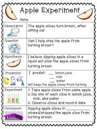 Apples Scientific Method Elementary Science Fair Projects Apple Science Experiments Elementary Science