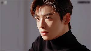 Images tagged with astro, cha eunwoo, eunwoo