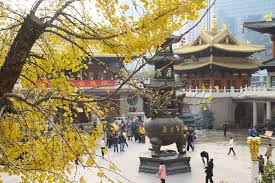 Where To Stay In Shanghai The Best Hotels Areas For 2021