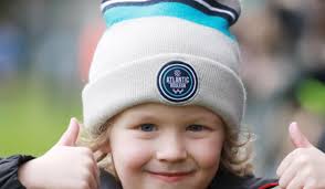 IN PICTURES: Fans show their support for Shannon RFC in AIL game at Thomond  Park