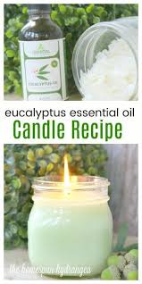 Maison De L Huile Essentielle D Eucalyptus Bougie Recette Comment Faire Une Bougie Bougies Fait Maison Bougie Cire Soja