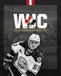He is not overly physical but will throw a check on occasion and use his frame to protect the front of the net. William Trudeau Williamtrudeau4 Twitter