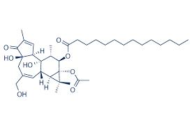 Pma is listed in the world's largest and most authoritative dictionary database of abbreviations and acronyms. Phorbol 12 Myristate 13 Acetate Pma 99 Hplc Selleck Pkc Activator Qcfile