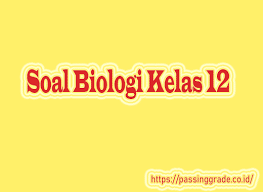 Essay bagian ketiga merupakan lanjutan contoh soal essay biologi kelas xii semester 1 beserta jawaban bagian kedua (soal. Soal Biologi Kelas 12 Semester 1 2 Beserta Jawabannya