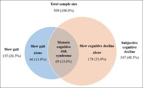 (adjective) processes that require thinking and reason. Slow Gait Subjective Cognitive Decline And Motoric Cognitive Risk Syndrome Prevalence And Associated Factors In Community Dwelling Older Adults Springerlink