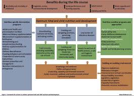 The Nutrition Specific And Sensitive Interventions To Address The Download Scientific Diagram
