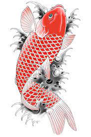 Yakuza Koi Tattoo Japanese Koi Fish Tattoo Koi Tattoo Design Koi Fish Drawing