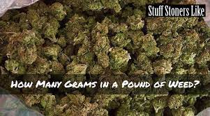 How much is a pound of weed in grams? How Many Grams In A Pound Of Weed
