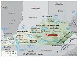 Image from encrypted-tbn0.gstatic.com