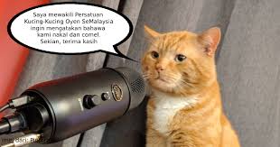 Kucing manja bertukar ganas untuk beri pengajaran kepada tuannya. Jangan Koyak