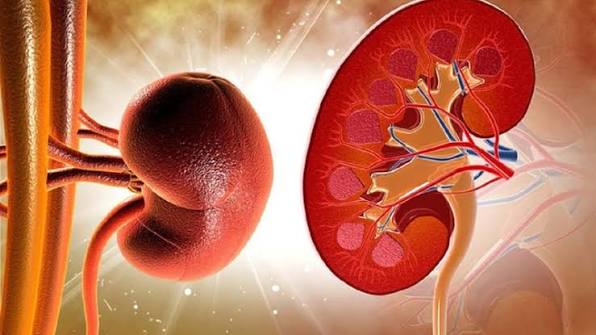 Bệnh suy thận ở người cao tuổi: Nguyên nhân và cách điều trị