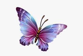 We did not find results for: Butterfly Png Transparent Background Butterfly Clipart Png Image Transparent Png Free Download On Seekpng