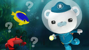 Have you ever wondered why the sea is blue? Creature Quiz Cbeebies Bbc