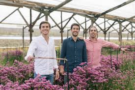 Maybe you would like to learn more about one of these? Colvin Raises 15m To Rethink The Flower Supply Chain Techcrunch