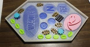 Maybe you would like to learn more about one of these? Plant Cell Puzzle By 3d Pt Download Free Stl Model Prusaprinters