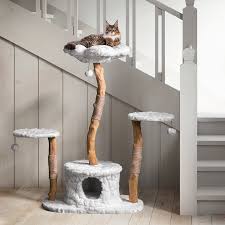 The cat tree stands 47 inches high, is nearly 24 inches wide, and weighs in at 22 pounds, costs just over $300, and ships worldwide (including all of the places where cacti are not native, of course). Mau Lifestyle Leone 50 In Modern Wooden Cat Tree Condo Gray Chewy Com Wooden Cat Tree Cat Tree Condo Wooden Cat