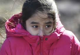 Greenwich Land Trust Mueller Preserve teams with Port Chester school for  hands-on gardening class