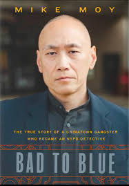 Recommendation of romance novel Dylan's Maid with happy ending