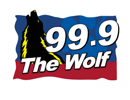 Belgium, france, bulgaria, denmark, croatia, germany, japan, hungary, hong kong sar china, jordan, algeria, brazil, finland, china, russia, netherlands, portugal, serbia, colombia. Song History 99 9 The Wolf