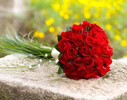 Send Flowers To Mumbai Flower Delivery In Mumbai In 3 Hours Flowers Online Flower Delivery Red Roses