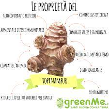 E' un'ottima fonte di potassio, 429 mg%,. Topinambur Proprieta Ricette E Tutti I Benefici Che Non Ti Aspetti Greenme