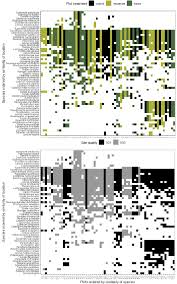 Image result for Wahlenbergia paludicola