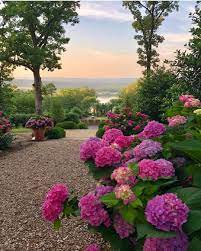 Something Pretty For The Weekend Garden Design By Pallensmith Homeandgarden Gardendesign Gardeners Landscapepho Plants Beautiful Flowers Flower Garden