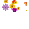 Happy birthday to someone very. Https Encrypted Tbn0 Gstatic Com Images Q Tbn And9gcslqraq5oojlzu9h6qn S7rz Raig7fj5cpzoqo3yci5jcm25ha Usqp Cau