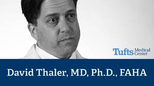 David Thaler, MD, Ph.D., FAHA