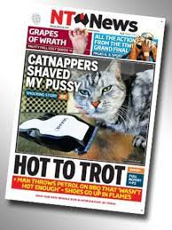 Then browse inventory or schedule a test drive. The Nt News Most Talked About Front Pages Nt News