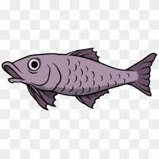 Download Fish Png Transparent For Free Download Page 2 Pngfind