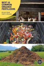 List Of The Best 15 Common Organic Fertilizers Gardening Channel