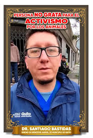 Perritos y gatitos en adopción responsable al Norte de Quito(ECUADOR)