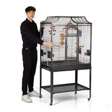 Looking for a nice and secure home for your birds? Montana Madeira Ii Bird Cage Antik Antique The Perfect Bird Home Parrotshop